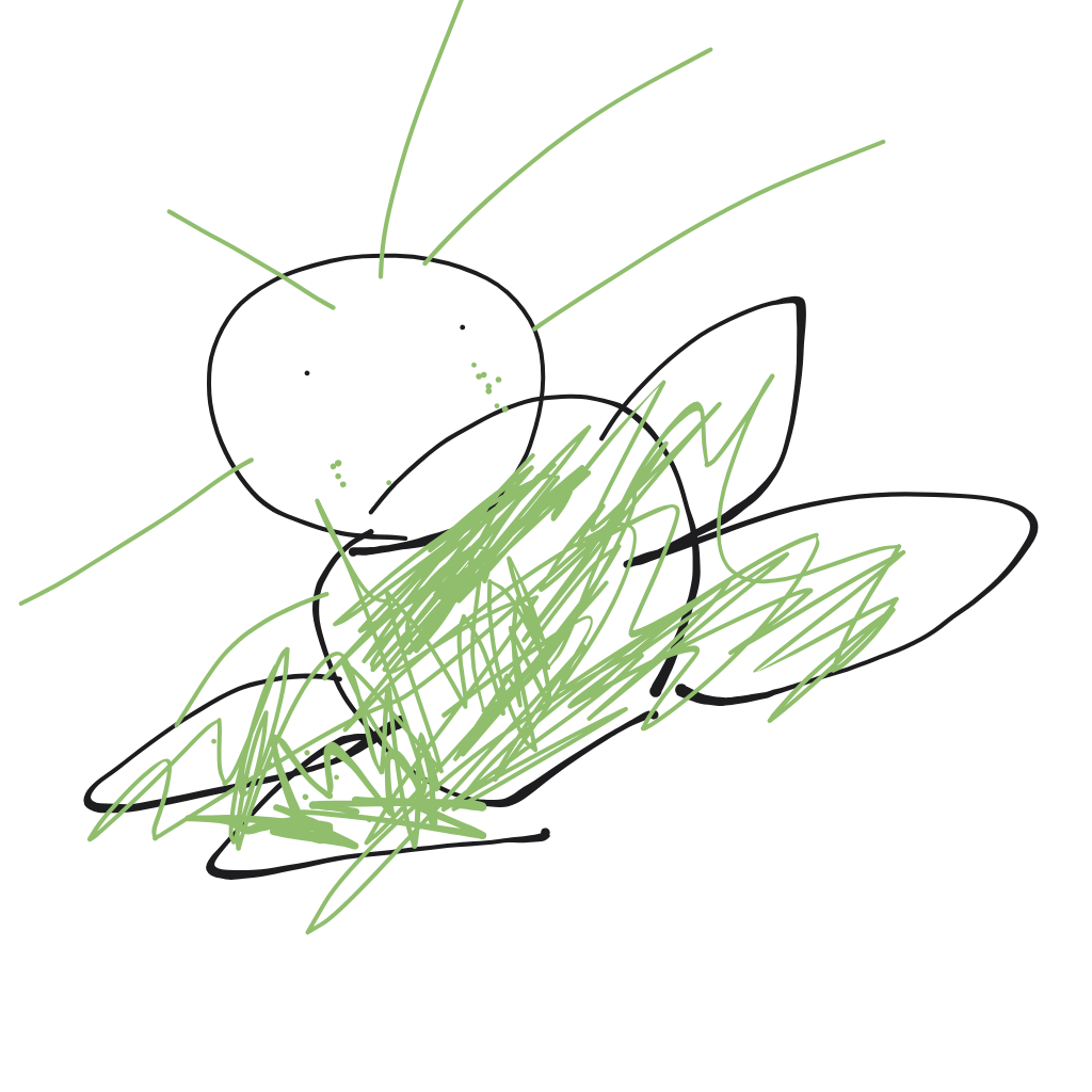 “a peacock fanning its tail feathers” drawn by Abiha