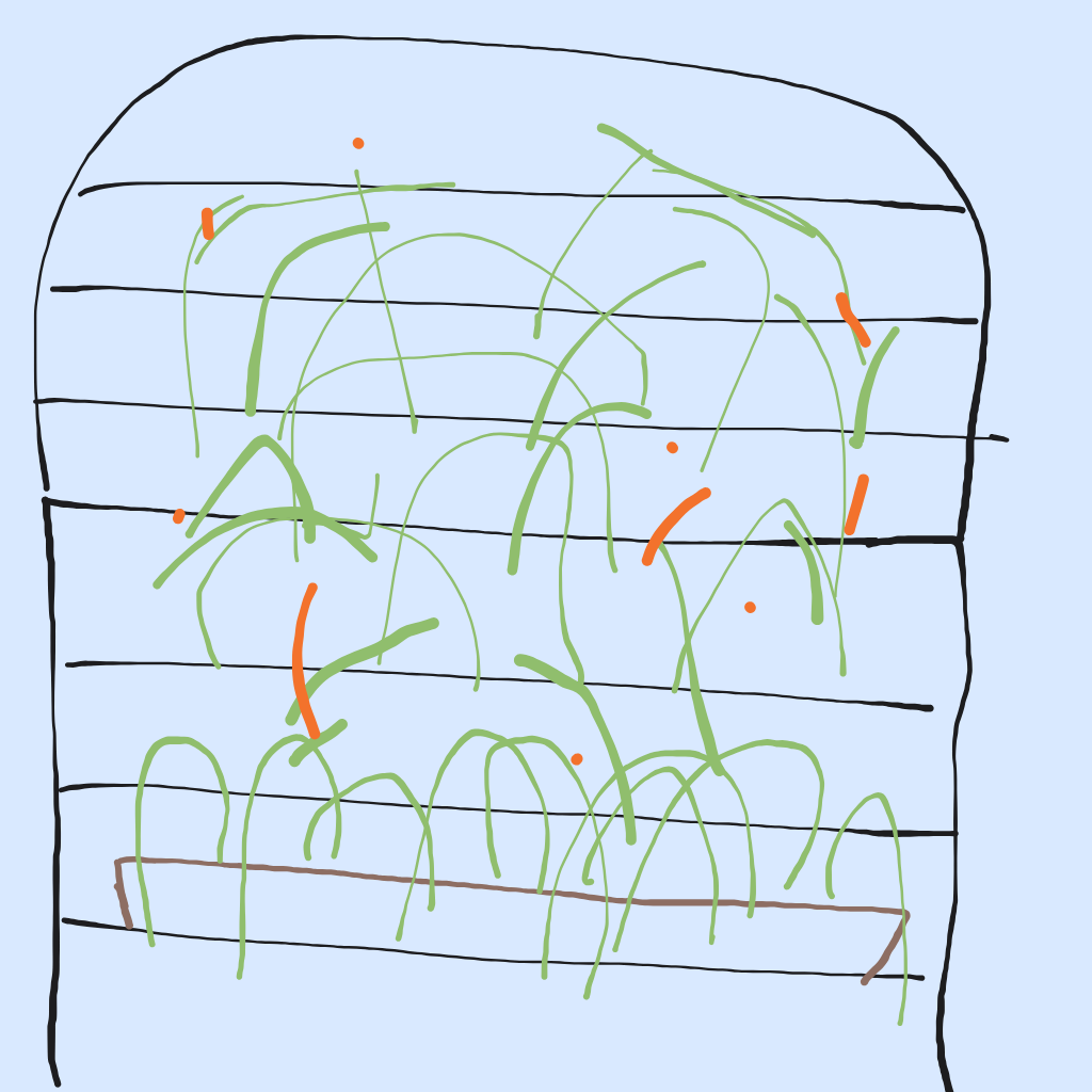 "a glass greenhouse full of plants" drawn by @Mystn