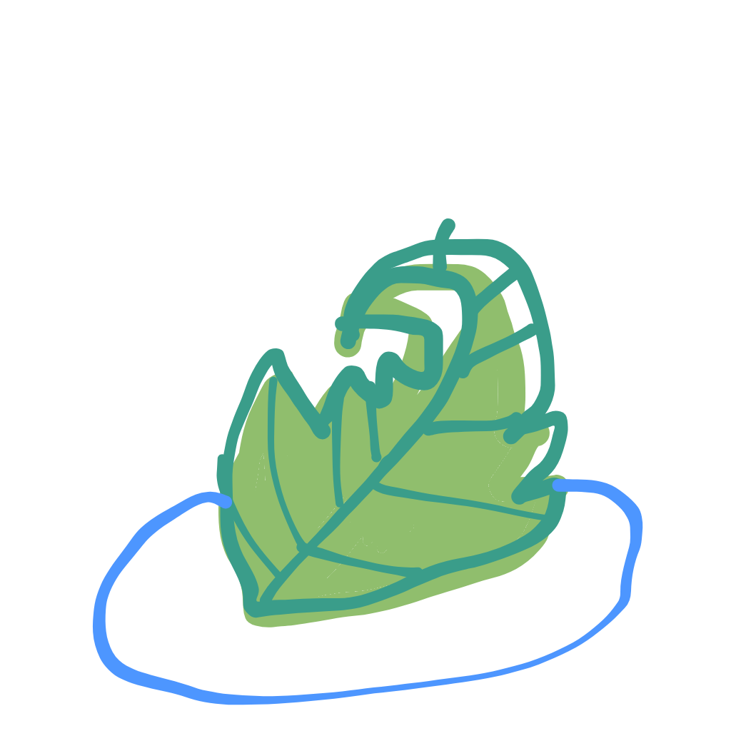 "a fern leaf uncurling" drawn by @Katalina