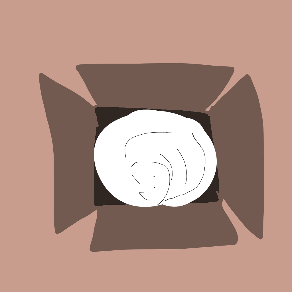 "a cat squeezed into a tiny box" drawn by @cacaprout